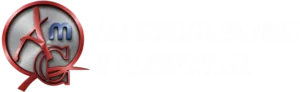 Ali construction logo (1)